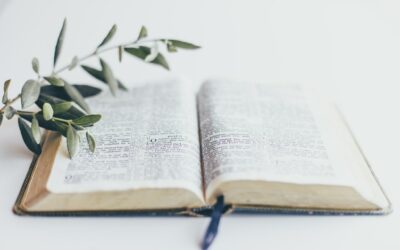 Creating A Daily Bible Reading Habit