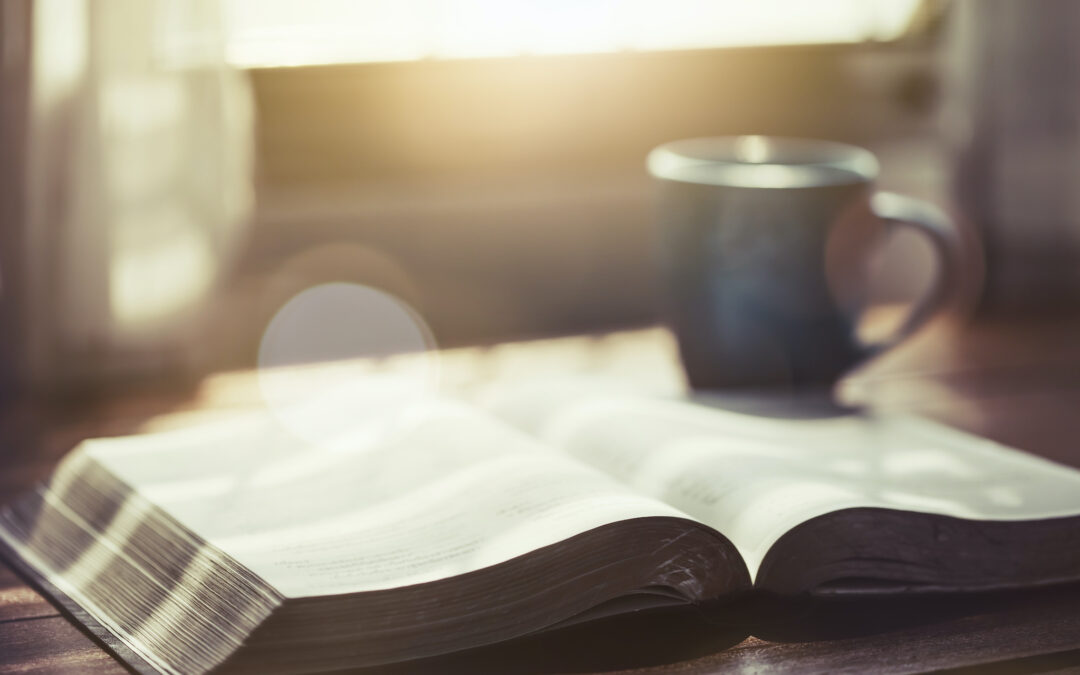 Creating a Daily Bible-Reading Habit - Trochia