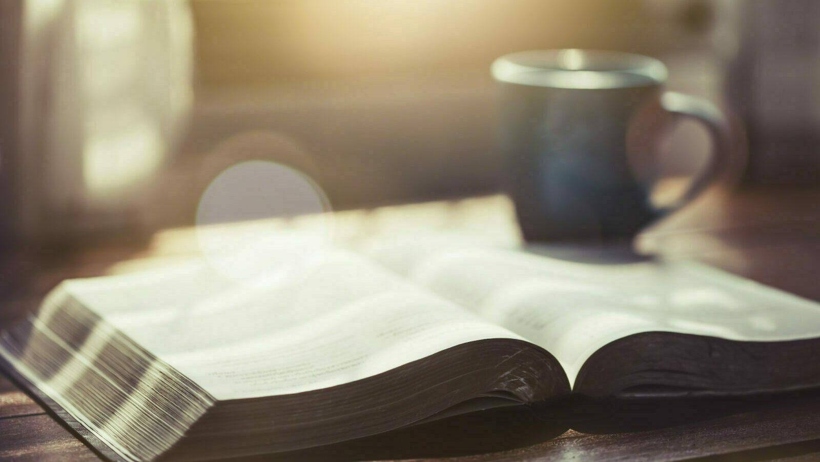 Featured image for “Creating a Daily Bible-Reading Habit”